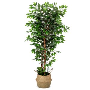 artificial ficus tree, 72 inches tall - fake floor plant for modern home decor - living room, bedroom, balcony - faux potted trees for indoor or outdoor - includes free bonus seagrass belly basket