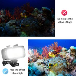 Suptig 30 LED Video Light Waterproof Light Underwater Light for Gopro Hero 12,11,10, 9, 8, 7, 6, 5, 4, 3,2, DJI osmo, Akaso and Canon Nikon Sony Olympus SLR Cameras Waterproof 180ft(55m)