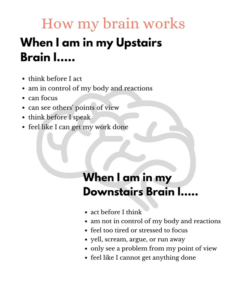 upstairs and downstairs brain