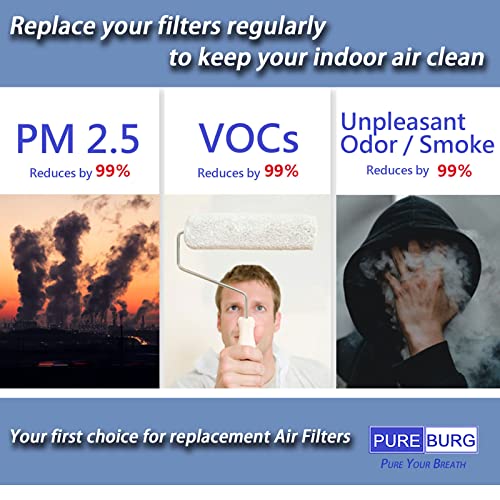 PUREBURG Replacement True HEPA Filter Kit Compatible with HoMedics Total Clean AF-20 AP-25 AR-20 Air Purifiers,Part Number AF-20FL AP-25CRF AF-25, H13 Activated carbon Air Clean Dust,1+4