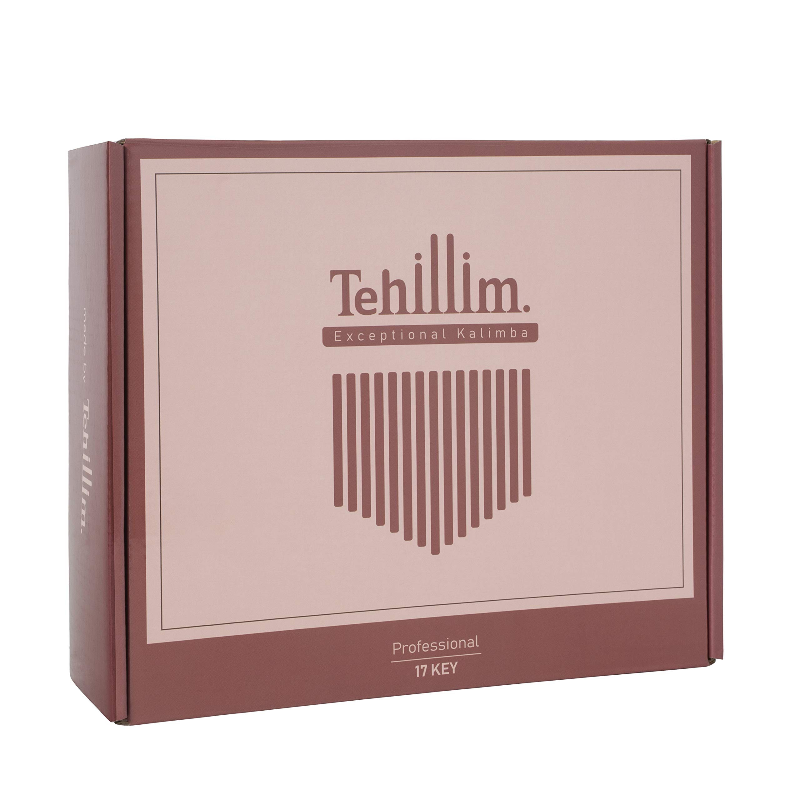 Tehillim Kalimba CASE ONLY, Thumb Piano Case Water-resistant Shock-proof with Gift box for 17 Keys Kalimba Case(Burgundy Color)