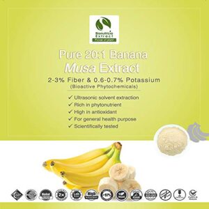 Banana Musa Extract 2-3% Fiber & 0.6-0.7% Potassium (100 Gram) | Baking Bread, Cake | Beverage for Juice, Smoothies