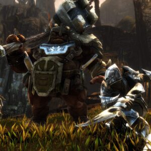 Kingdoms of Amalur Re-Reckoning - PC