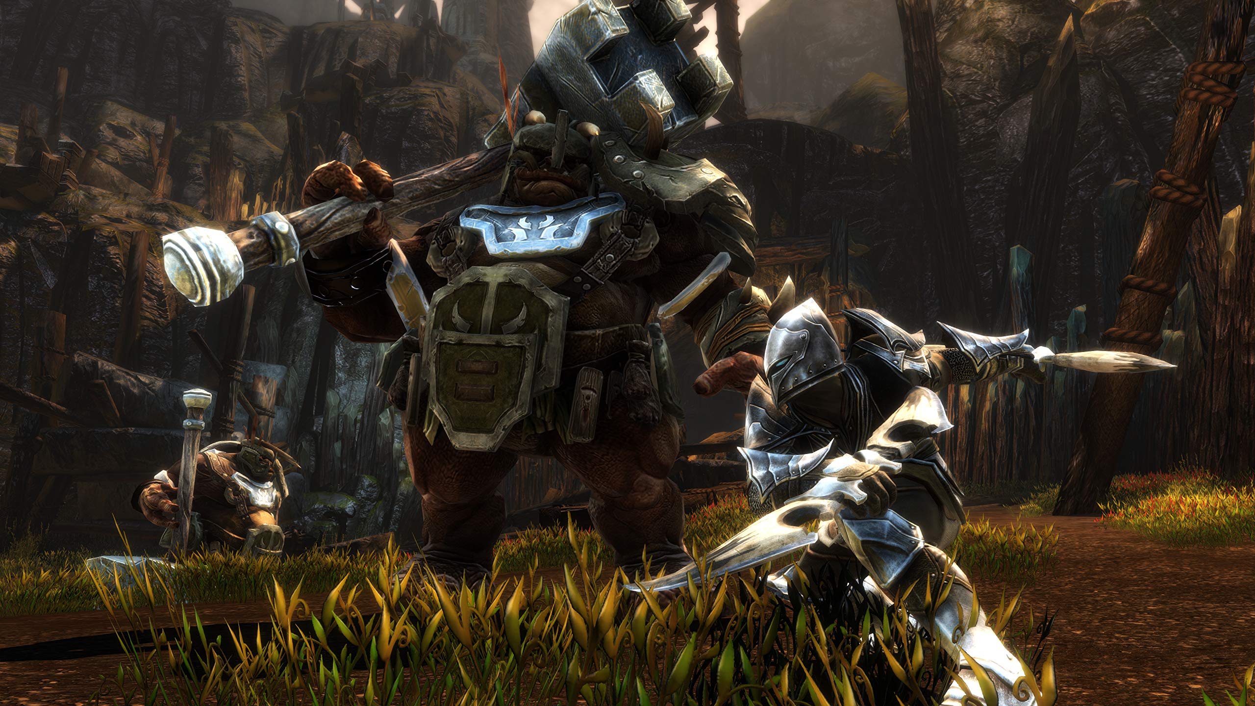 Kingdoms of Amalur Re-Reckoning - PC