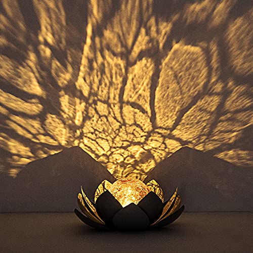 Huaxu Solar Lights Outdoor Garden Decor , Amber Crackle Globe Glass Lotus Decoration,Waterproof Gray Metal Flower Light for Patio,Lawn,Walkway,Tabletop,Ground