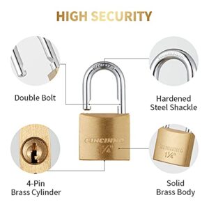 CINCINNO 6 Pack Solid Brass Keyed Alike Padlock with Key, Small Locks with Keys for Gym Locker, Case, Backpack, Luggage