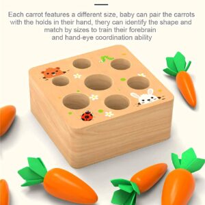 RECHIATO Montessori Toys for 1 Year Old, Carrot Shape Size Sorting Game, Wooden Easter Baby Toys for Babies 6-12 Months Fine Motor Skills Development Age 1-5, Easter Party Favors for Kids