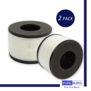 PUREBURG BS-03 True HEPA Replacement Filters Compatible with PARTU BS-03,Slevoo BS-03 Air Purifier, H13 3-Stage Filtration Activated carbon 2-IN-1 Air Clean Dust VOCs Odor,2-Pack