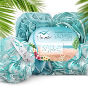 Loofah Bath Sponge XL 75g Set of 4 Ocean Colors by À La Paix - Soft Exfoliating Shower Lufa for Silky Skin - Long-Handle Mesh Body Poufs- Women and Men’s Luffas - Loufa Sponges- Full Cleanse & Lather