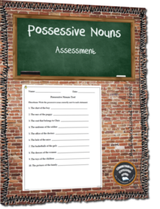 possessive nouns assessment