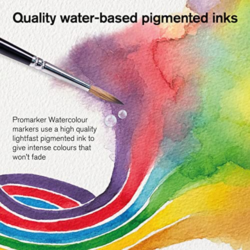 Winsor & Newton ProMarker Watercolor Marker Set, 12 Count, Basic Tones