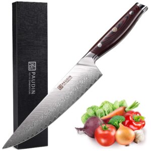 paudin damascus chef knife, 8 inch japanese high carbon 67-layers vg10 stainless steel kitchen knife, ultra sharp kitchen knives with full tang ergonomic g10 handle for kitchen and restaurant