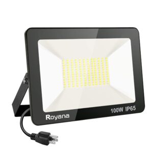 royana 100w led flood light outdoor with plug, ip65 waterproof led work lights, portable daylight white floodlight spotlight, 6000k 10000lm super bright security light for yard garden court lawn