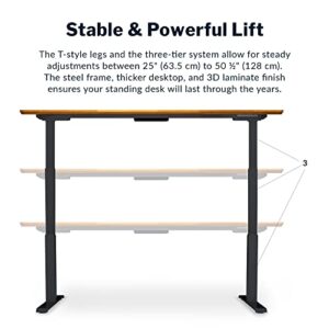 Vari- Standing Desk Adjustable Height (48" x30')- Electric Sit-Stand Computer Desk for Work or Home Office- Dual Motor with Memory Presets- Adjustable Desk from Varidesk- Black