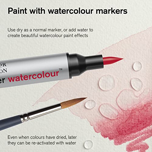 Winsor & Newton ProMarker Watercolor Marker Set, 12 Count, Landscape Tones