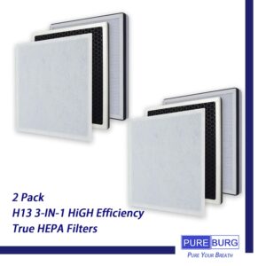 PUREBURG IC-5018 Replacement True HEPA Filter Compatible with InvisiClean Aura IC-5018 Aura II IC-5018 Sensa IC-5120 Air Purifiers,H13 Activated Carbon,2-Pack