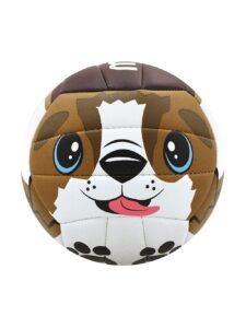 molten mini volleyball (dog)