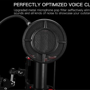 Mic Pop Filter, Professional Metallic Mic Pop Filter Mesh for Blue Yeti and Any Other Mic, ARISEN Dual Layered Microphone Pop Filter, Mic Filter with A Flexible 360° Gooseneck Clip Stabilizing Arm