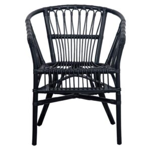 safavieh home adriana coastal black rattan (set of 2) accent chair, 0