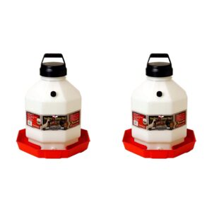 little giant ppf5 5 gallon automatic poultry waterer for chickens, red (2 pack)
