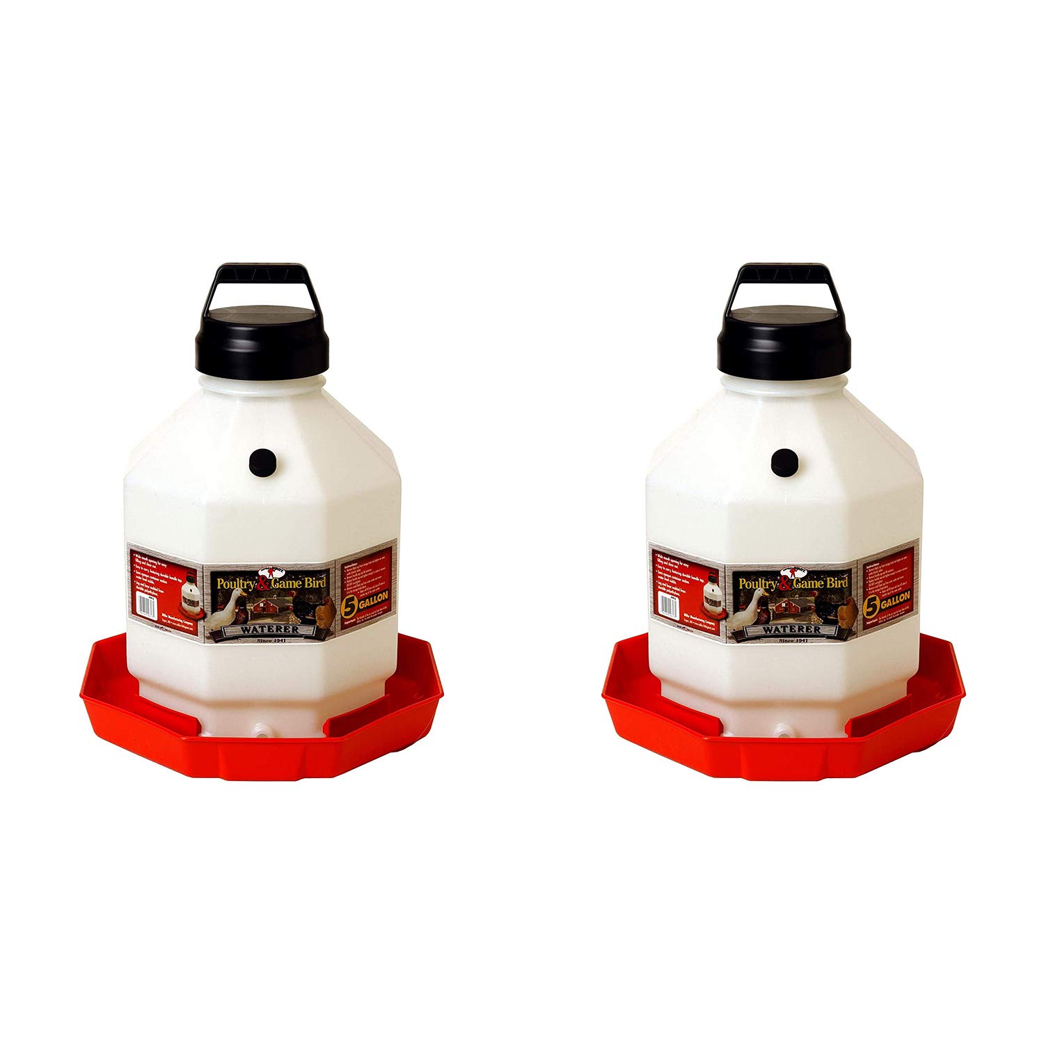 Little Giant PPF5 5 Gallon Automatic Poultry Waterer for Chickens, Red (2 Pack)