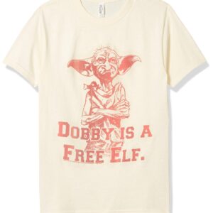 Harry Potter Men's Dobby Free Elf, Cream, X-Large