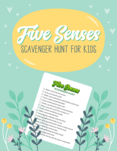five senses scavenger hunt for kids