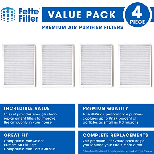 Fette Filter - Replacement HEPAtech Filters Compatible with Hunter 30920 30050 30055 30065 37065 30075 30080 30177 30070 30905 30054 30062 30832 30868 30882 30883 37055 30071- Pack of 4