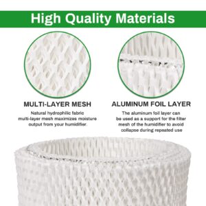 Future Way 6-Pack WF2 Humidifier Filter Compatible with Vicks V3900, V3100, V3700, Kaz WF2 V3100 Humidifiers