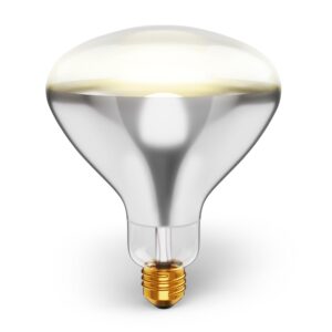 250R40/1 250-Watt, Incandescent R40 Reflector, Clear Head Lamp, Heat Flood Lamp Light Bulb, E26 Standard Medium Screw Base, 120V, 6,000 Hour Rated (Pack of 2-Clear-Heat Lamps)