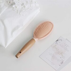 Hair Brush speed dry brush For Women Men and Kids, Straightening Hair and Blowdrying