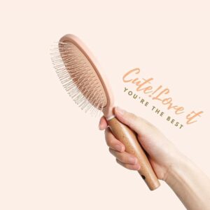 Hair Brush speed dry brush For Women Men and Kids, Straightening Hair and Blowdrying