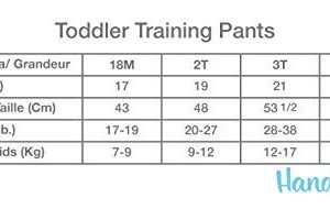 Sesame Street Unisex Baby With Elmo, Cookie Monster And Big Bird Includes Stickers Success Chart Sizes 18m, 2t, 3t, 4t Potty Training Pants Multipack, 10-pack Training Pant_b, 2T US