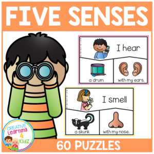 five senses puzzles