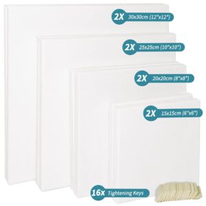 Blank Canvase Boards for Painting, 6x6", 8x8", 10x10" 12x12", 8 Pack 100% Cotton Stretcher Academy Acrylic Oil Painting, Canvases for Kids & Artist