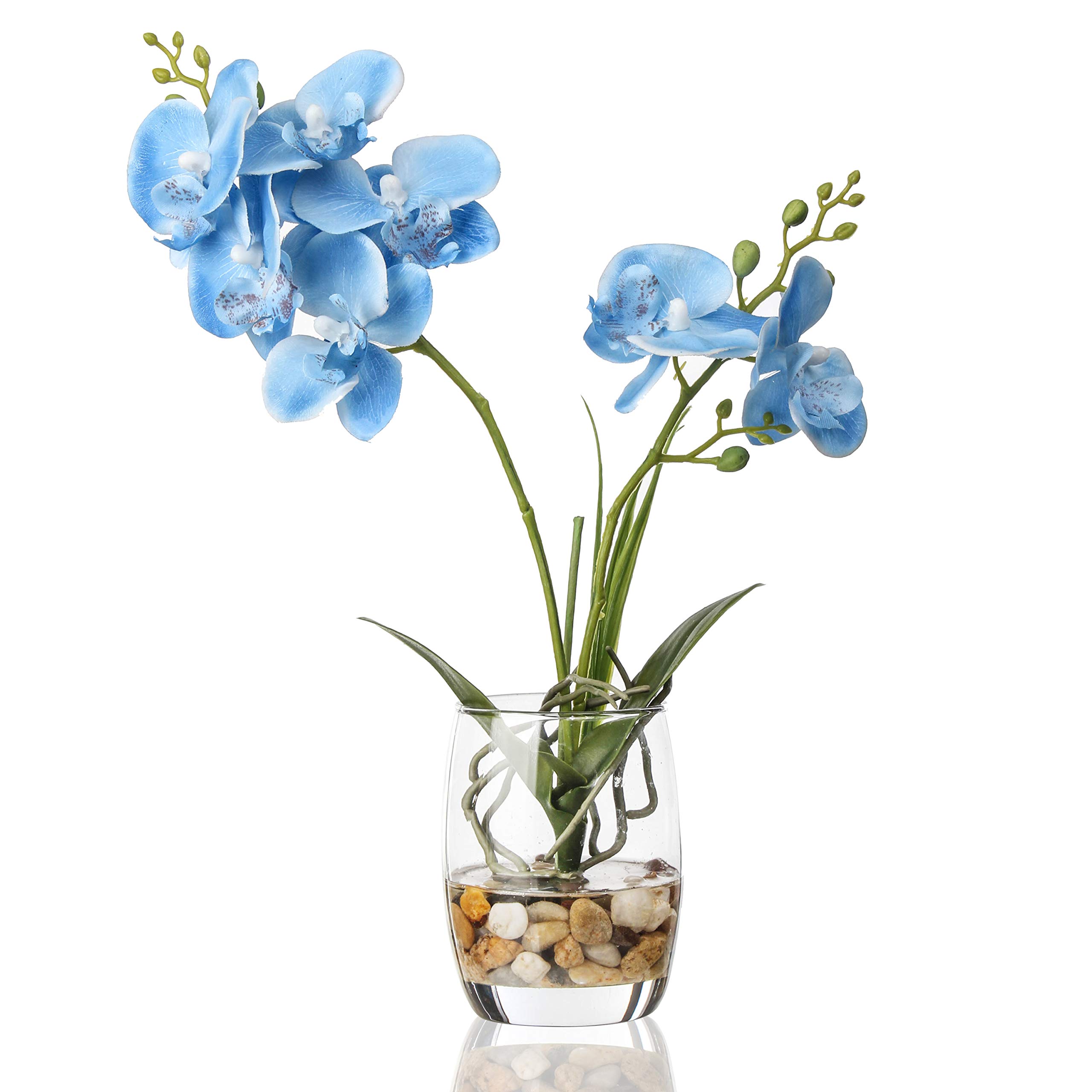 Jusdreen 1 Pcs Glass Vase Artificial Orchid Flower Bonsai Vivid Phalaenopsis Flowers Potting for Home Office Décor,Table Centerpiece Room Decorations 14.5 INCH (Glass Vase/Blue Orchid)