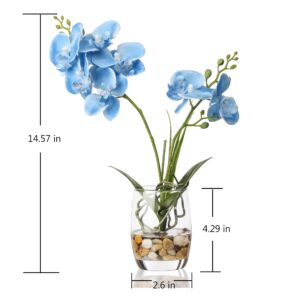 Jusdreen 1 Pcs Glass Vase Artificial Orchid Flower Bonsai Vivid Phalaenopsis Flowers Potting for Home Office Décor,Table Centerpiece Room Decorations 14.5 INCH (Glass Vase/Blue Orchid)