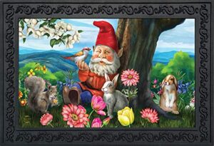 briarwood lane garden gnome spring doormat birds floral indoor outdoor 30" x 18"