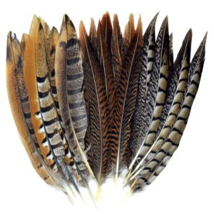 obmwang 21 pcs 20-25cm natural pheasant feathers for diy craft wedding home party decorations, 3 styles