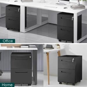 HOMEER 2 Drawer Mobile File Cabinet with Lock & Wheel, Under Desk Rolling Vertical Filing Cabinet, Anti-tilt Design Home & Office Metal Storage Drawers Filing Cabinet for Legal, Letter, A4 File, Black