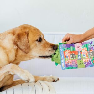 Outward Hound Surprise Hedgies Dog Toys - UNbox and Surprise! Collect All 3 Grunting Hedgies Dog Toys!