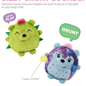 Outward Hound Surprise Hedgies Dog Toys - UNbox and Surprise! Collect All 3 Grunting Hedgies Dog Toys!