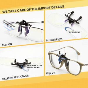 riwissipa Clip on Blue Light Blocking Glasses Anti Blue Light Filter Computer Gaming Glasses Eye Protection for unisex (Day & Night, Regular)