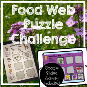 build a food web challenge include google activity