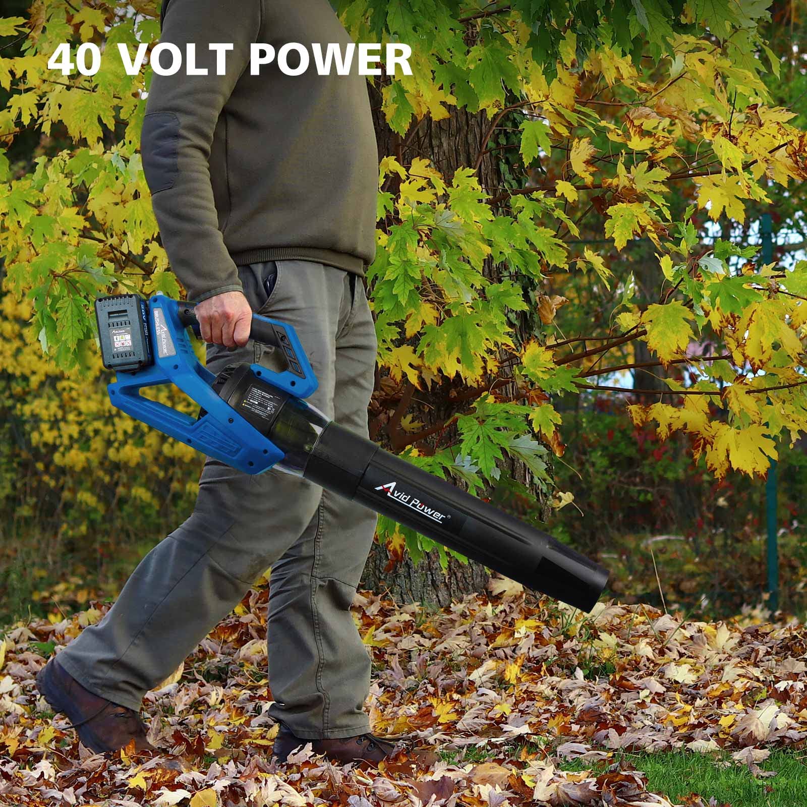 AVID POWER 40V Cordless Leaf Blower, Brushless Electric Leaf Blower 485-CFM 130-MPH, Battery Powered Blower with Two 2.0Ah Batteries, 4 Speeds and Turbo Function-Blue