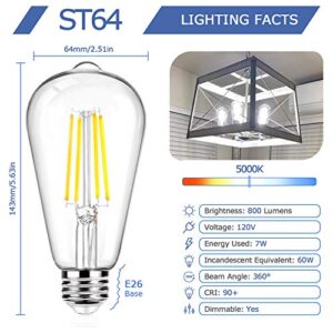 12Packs Vintage LED Edison Bulbs, 60W Equivalent 7W, 800Lumens, Dimmable ST64 Antique LED Filament, Daylight White 5000K, E26 Medium Base Light Bulbs High Brightness Clear Glass for Bedroom Office