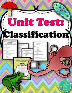 classification assessment and reflection