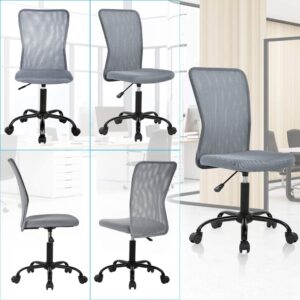 Ergonomic Desk Chair Mid Back Mesh Chair Height Adjustable Office Chair, Home Office Chair Modern Task Computer Chair No Armrest Executive Rolling Swivel Chair with Casters (Grey)