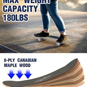 M Merkapa 31"x8" Skateboard for Adults Teens Youths Kids Beginners, 8 Layer Canadian Maple Double Kick Deck Concave Fit for Skateboarding, Cruising, Carving, Tricks (with T Tool)