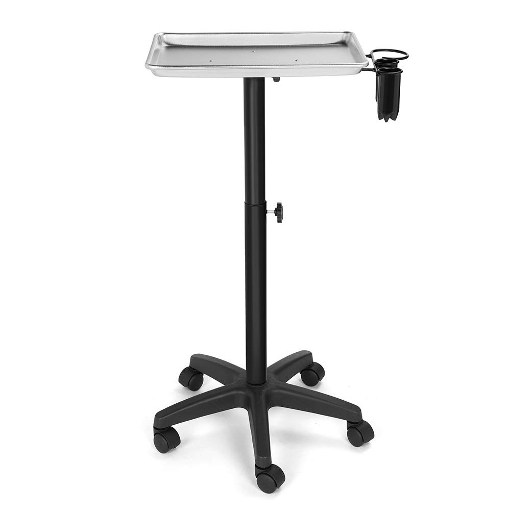 Kaleurrier Beauty Hair Salon Spa Equipment Rolling Trolley Cart Mobile Tool Storage Tray Instrument Stand